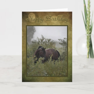 Carte d'anniversaire "Cheval Noir Misty"