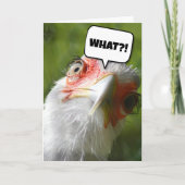 CARTE D'ANNIVERSAIRE CHICKEN FUNNY (Devant)