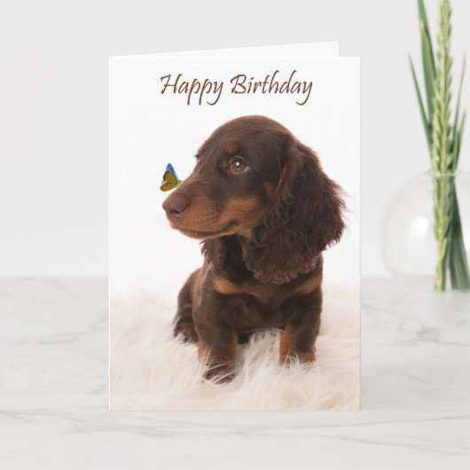 Carte d'anniversaire chien avec papillon sur le ne (Devant)