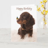 Carte d'anniversaire chien avec papillon sur le ne (Fleur jaune)