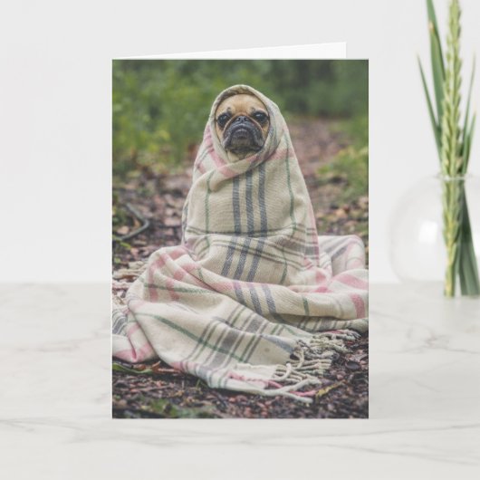 CARTE D'ANNIVERSAIRE CHIEN PUG (Devant)