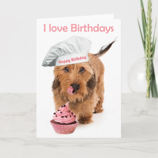 Carte d'anniversaire Chien teckel avec toque (Devant)