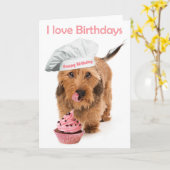 Carte d'anniversaire Chien teckel avec toque (Fleur jaune)