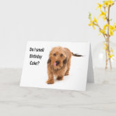carte d'anniversaire chien teckel reniflant gâteau (Fleur jaune)