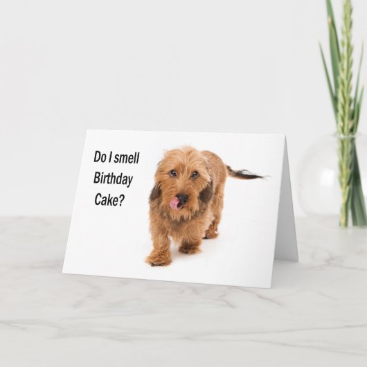 carte d'anniversaire chien teckel reniflant gâteau (Devant)