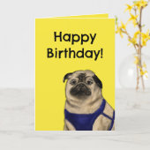 Carte d'anniversaire chrétienne (Pug) (Fleur jaune)