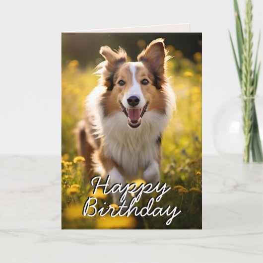 Carte d'anniversaire Collie personnalisée (Devant)