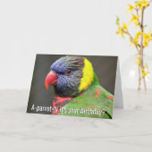 Carte d'anniversaire colorée de Lorikeet (Fleur jaune)