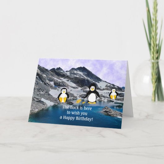 Carte d'anniversaire Cool Penguins (Devant)