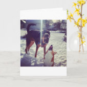 Carte d'anniversaire Corgi Best Friend (Fleur jaune)