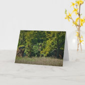 Carte d'anniversaire "couverture d'automne" (Fleur jaune)