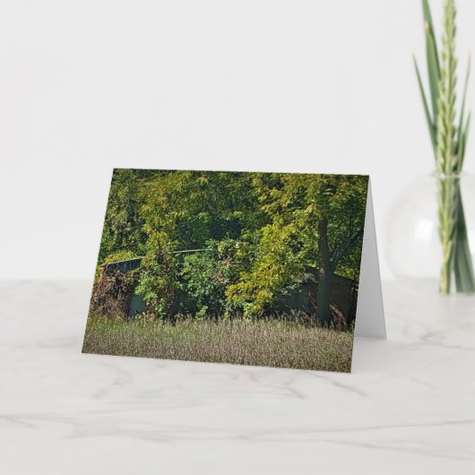Carte d'anniversaire "couverture d'automne" (Devant)