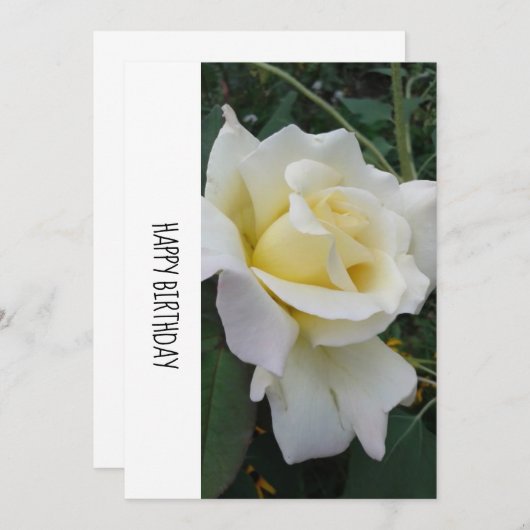 Carte d'anniversaire Crème Rose blanche (Devant / Derrière)