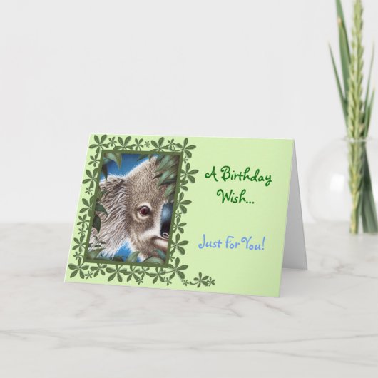 Carte d'anniversaire Curios Koala (Devant)
