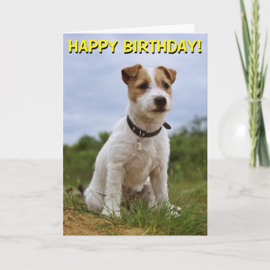 Carte d'anniversaire Cute Jack Russell (Devant)