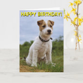 Carte d'anniversaire Cute Jack Russell (Fleur jaune)