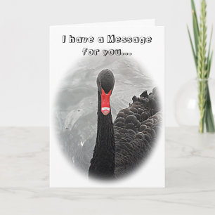 Carte d'anniversaire - cygne noir
