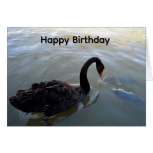 Carte d'anniversaire Cygne noir et gros poisson