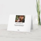 Carte d'anniversaire Dachshund (Dos)