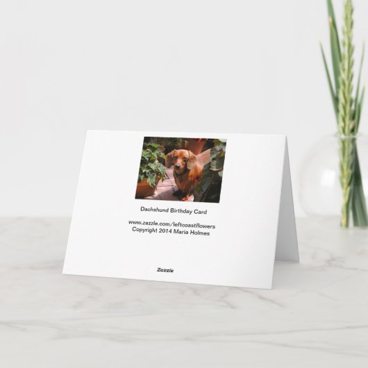 Carte d'anniversaire Dachshund (Dos)