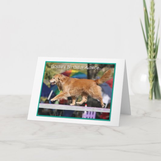 Carte d'anniversaire d'agilité de golden retriever (Devant)