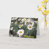 Carte d'anniversaire Daisy (Fleur jaune)