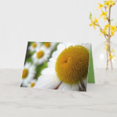 Carte d'anniversaire Daisy (Fleur jaune)