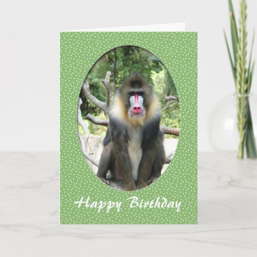 carte d'anniversaire d'animal de zoo joyeux (Devant)