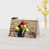 Carte d'anniversaire Danny le Pirate (Fleur jaune)