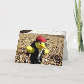 Carte d'anniversaire Danny le Pirate (Devant)
