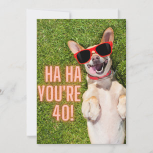 Carte d'anniversaire de 40e chien riant