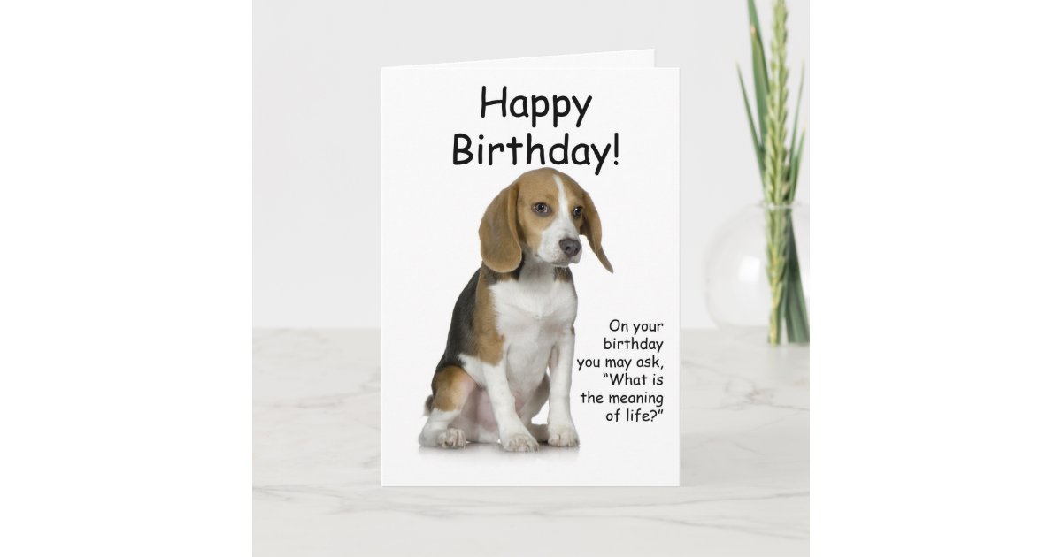 Carte D Anniversaire De Beagle Zazzle Be