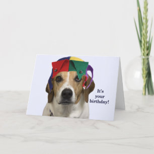 Carte d'anniversaire de beagle par le foyer pour