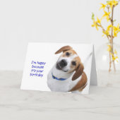 Carte d'anniversaire de beagle par le foyer pour (Fleur jaune)