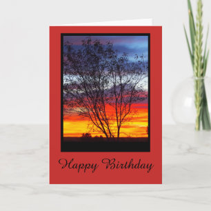 Carte d'anniversaire de blanc de silhouette de
