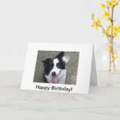 Carte d'anniversaire de border collie (Fleur jaune)