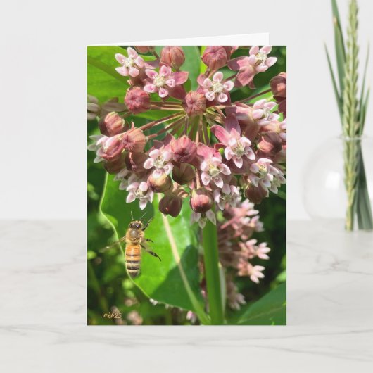 Carte d'anniversaire de bourdon HapBEE (Devant)