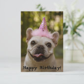 Carte d'anniversaire de Bulldog (Debout devant)