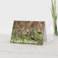 Carte d'anniversaire de cailles de Californie