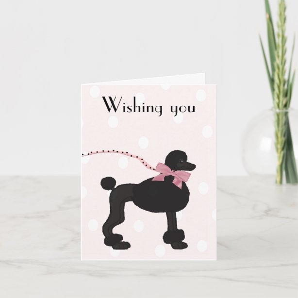 Carte Anniversaire Chien PSD, Modèles PSD Gratuits De Haute Qualité à