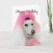 Carte d'anniversaire de caniche rose (Devant)