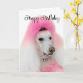 Carte d'anniversaire de caniche rose (Fleur jaune)