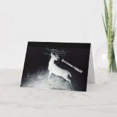 Carte d'anniversaire de cerfs communs (Devant)