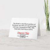 Carte d'anniversaire de chardon (Dos)