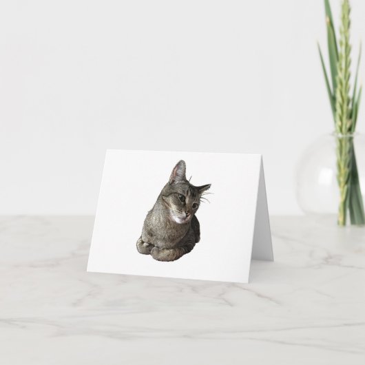 Carte d'anniversaire de chat Abyssinian (Devant)