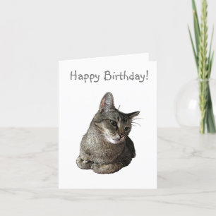 Carte d'anniversaire de chat Abyssinian