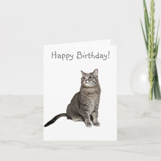 Carte d'anniversaire de chat Abyssinian (Devant)
