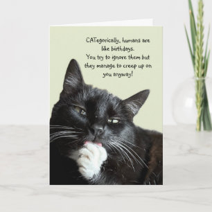 Carte d'anniversaire de chat amusant