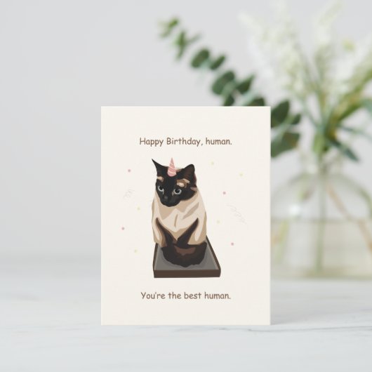 Carte d'anniversaire de chat amusant (Debout devant)