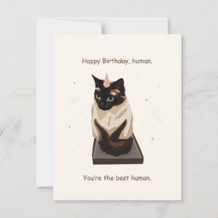 Carte d'anniversaire de chat amusant